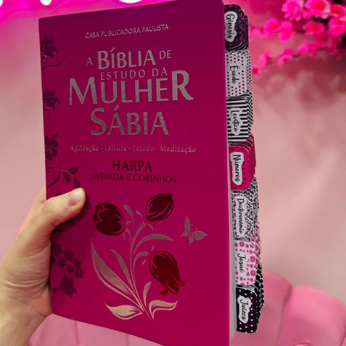 Bíblia da Pregadora Fiel / Bíblia Da Mulher Sábia / Bíblia Sagrada / Letras Grandes e Jumbo
