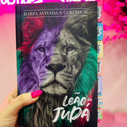 Bíblia da Pregadora Fiel / Bíblia Da Mulher Sábia / Bíblia Sagrada / Letras Grandes e Jumbo