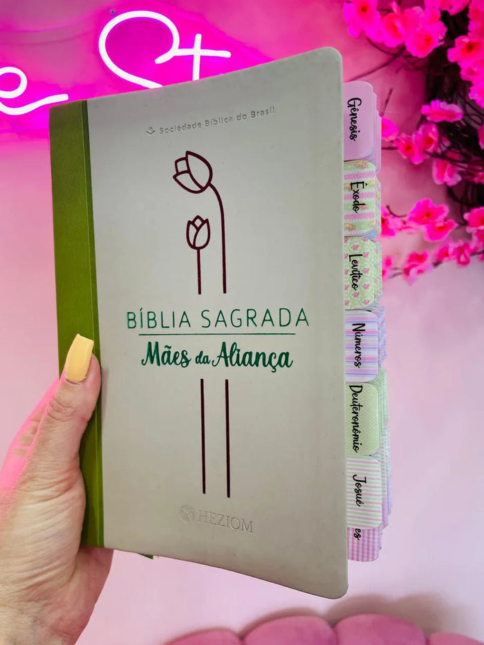 Bíblia da Pregadora Fiel / Bíblia Da Mulher Sábia / Bíblia Sagrada / Letras Grandes e Jumbo